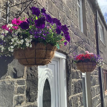 The Garden Flat Appartement Crieff Buitenkant foto